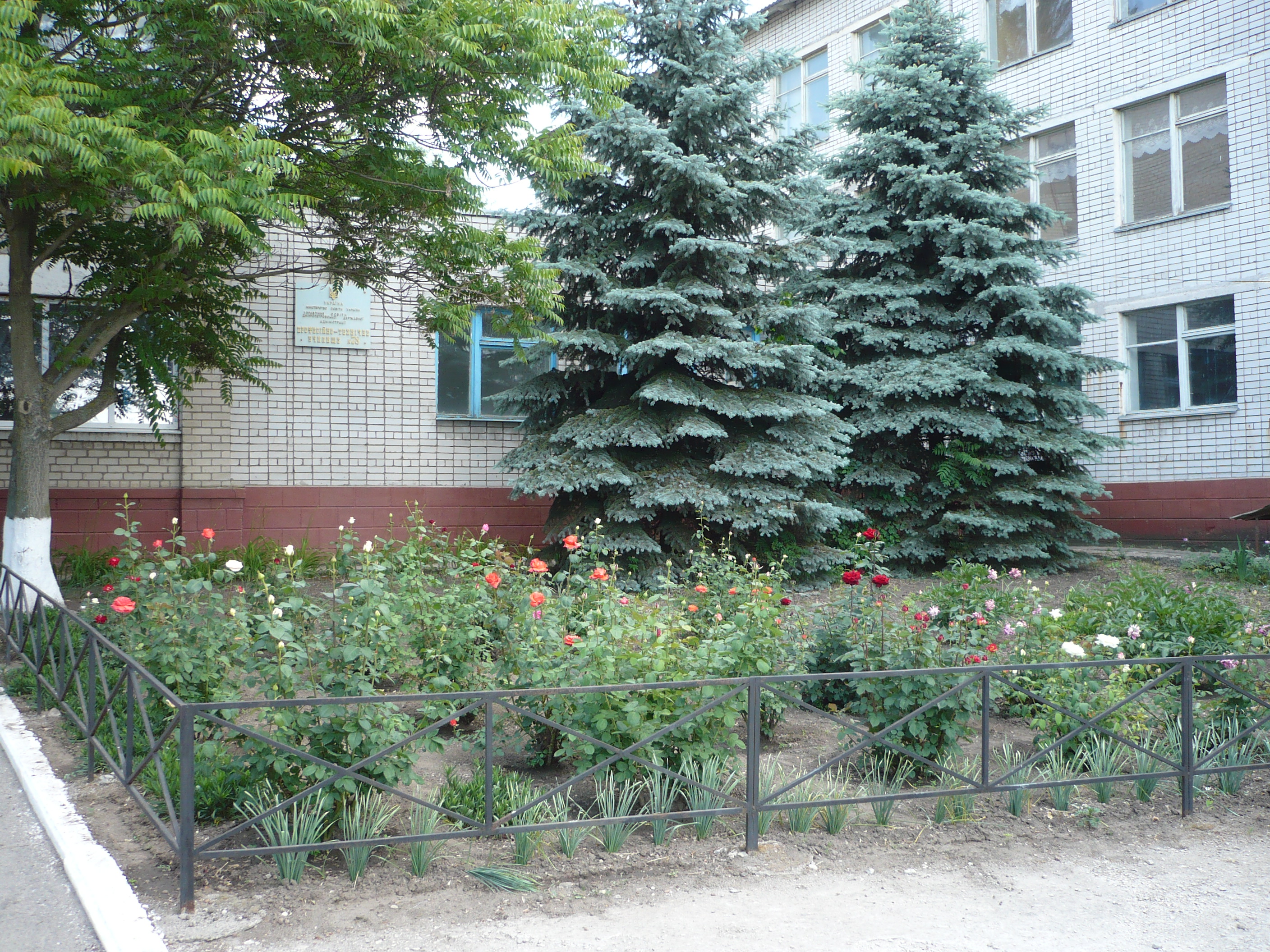image1