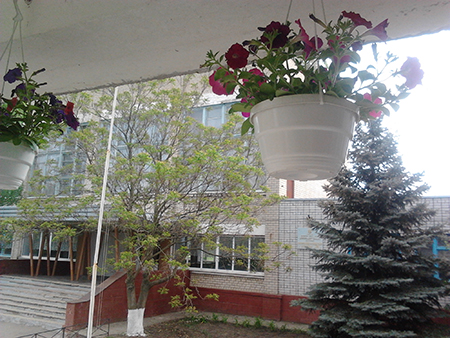 image1
